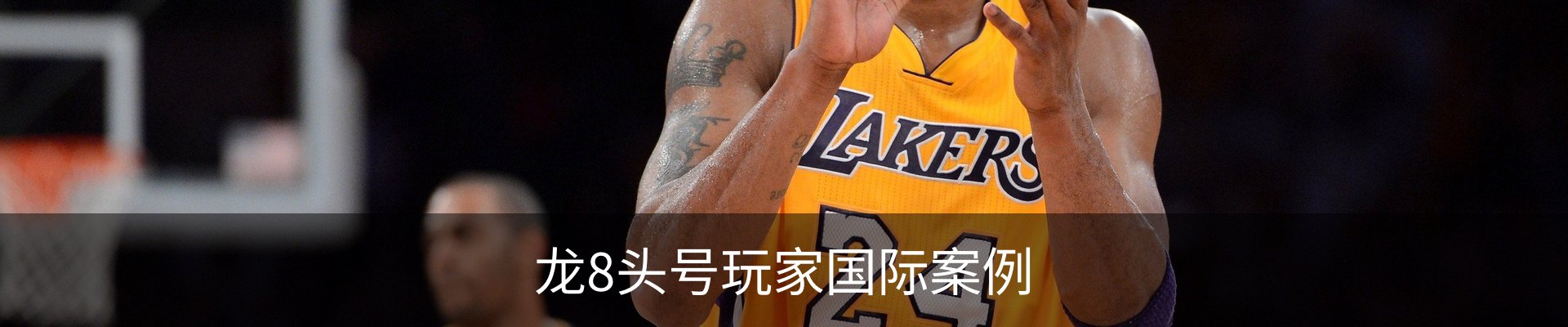 龙8头号玩家国际案例